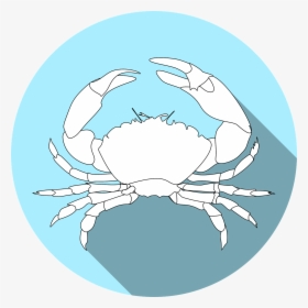 Crabs, HD Png Download, Transparent PNG