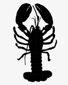 Transparent Lobster Png - Transparent Lobster Clipart, Png Download, Transparent PNG