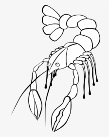 Crawfish - Crawfish Clip Art, HD Png Download, Transparent PNG