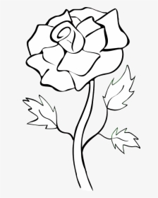 White Rose Silhouette Clip Art Clipart Free Download - White Rose Silhouette Png, Transparent Png, Transparent PNG