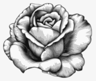 Drawing Flower Watercolor Black White - Flowers Black And White Drawing, HD Png Download, Transparent PNG