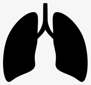 Svg Icon Free Download - Lungs Icon Png, Transparent Png, Transparent PNG