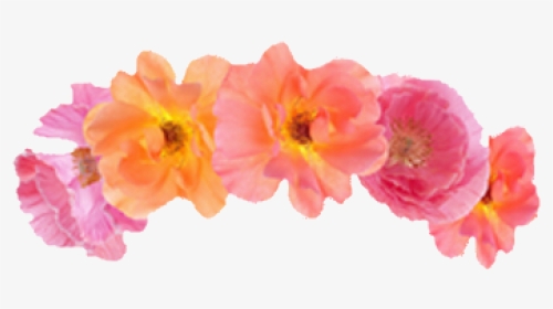 #flower #flowers #pink #orange #aesthetic #flowercrown - Aesthetic Orange Flower Crown, HD Png Download, Transparent PNG