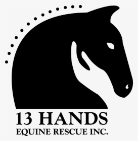 13 Hands Equine Rescue, HD Png Download, Transparent PNG