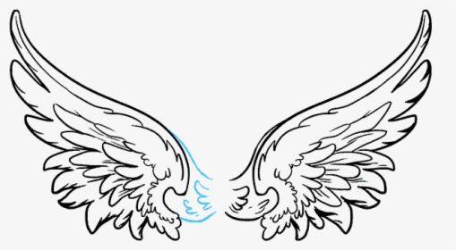 Angle Wings At Getdrawings - Angel Wings Drawing Png, Transparent Png, Transparent PNG
