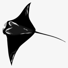 Eagleray - Sharks And Rays Icon, HD Png Download, Transparent PNG