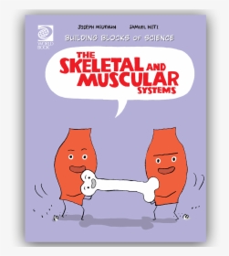 Skeletal And Muscular Systems World Book - Skeletal And Muscular System Cartoon, HD Png Download, Transparent PNG