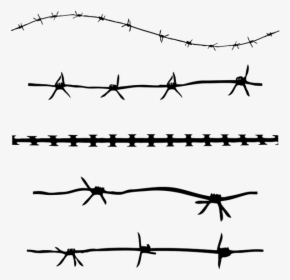 Barbed Wire Barbed Tape Clip Art - Grunge Barbed Wire, HD Png Download, Transparent PNG