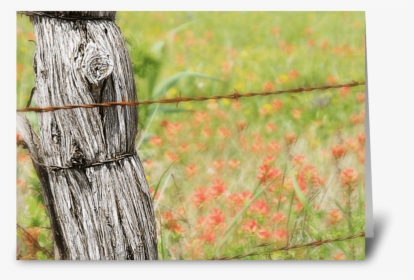 Texas Fences Greeting Card - Barbed Wire, HD Png Download, Transparent PNG