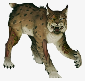 Lynx Png Transparent Images - Bobcat, Png Download, Transparent PNG