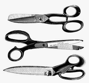 Shears Clipart Vintage - Vintage Scissors Png, Transparent Png, Transparent PNG