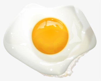 egg png download - 4096*4096 - Free Transparent Fried Egg png Download. -  CleanPNG / KissPNG