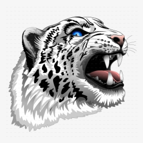 Snow Leopard Roar - Snow Leopard Clipart Png, Transparent Png, Transparent PNG