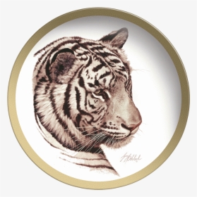 White Tiger Head, HD Png Download, Transparent PNG
