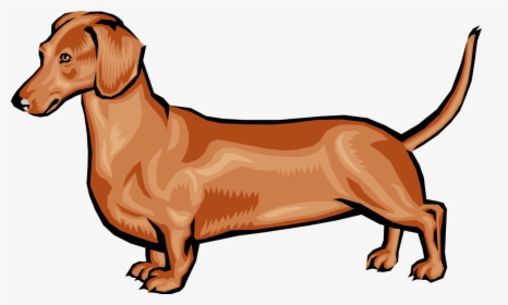 Dogs Vector Realistic - Cartoon Dachshund Png, Transparent Png, Transparent PNG