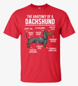 Creations Capitol ™ Anatomy Of Dachshund Clever Mind - Woodstock T Shirts 50th Anniversary, HD Png Download, Transparent PNG