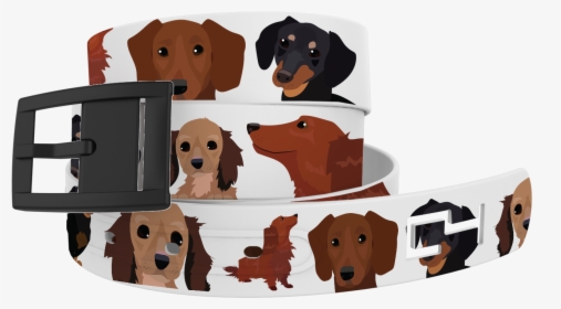 Dachshund , Png Download - Dachshund, Transparent Png, Transparent PNG