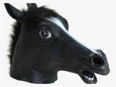 Transparent Horse Mask Png - Horse, Png Download, Transparent PNG