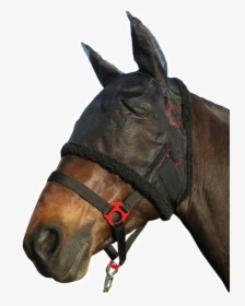 Transparent Horse Mask Png - Halter, Png Download, Transparent PNG