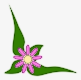 Plants, HD Png Download, Transparent PNG