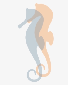 Icon Seahorses Highres - Illustration, HD Png Download, Transparent PNG