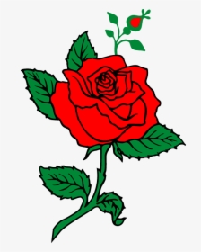 Rose Flower Png Illustrator, Transparent Png, Transparent PNG