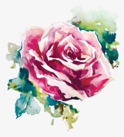 Rose Painting Vector , Png Download - Rose Flower Watercolor Painting, Transparent Png, Transparent PNG