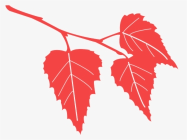Birch Tree Leaf Silhouette, HD Png Download, Transparent PNG