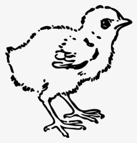 Baby Chick Svg Clip Arts - Black And White Clip Art Chick, HD Png Download, Transparent PNG