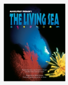 The Living Sea [dvd] - Sting The Living Sea 1995, HD Png Download, Transparent PNG
