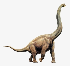 Sauropod Transparent Png - Brachiosaurus Png, Png Download, Transparent PNG