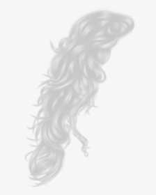 Silver Hair Png Clipart Library Download - Gray Hair Png Clipart, Transparent Png, Transparent PNG