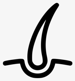 Hair, HD Png Download, Transparent PNG
