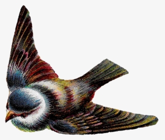 Transparent Flying Bird Clipart - Bird Flying Vintage Illustration, HD Png Download, Transparent PNG