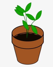 Plant In A Pot Clipart, HD Png Download, Transparent PNG