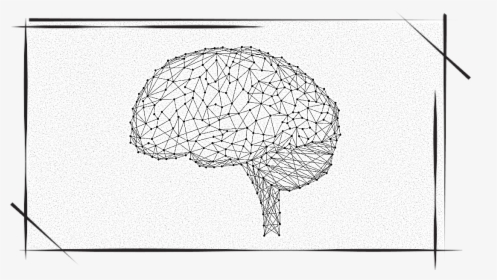 The Transplanted Brain - Sketch, HD Png Download, Transparent PNG