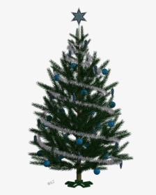Winter Trees & Christmas Trees - Christmas Tree, HD Png Download, Transparent PNG