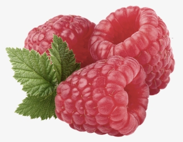 Raspberry Fruit Benefits, HD Png Download, Transparent PNG