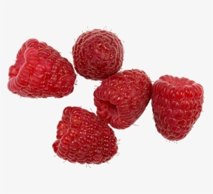 Seedless Fruit , Png Download - Frutti Di Bosco, Transparent Png, Transparent PNG