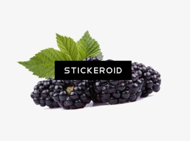 Black Raspberries Hd - Black Raspberry Transparent, HD Png Download, Transparent PNG