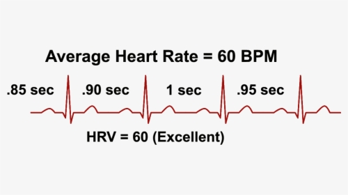 Heart Rate Variability And Bpm, HD Png Download, Transparent PNG