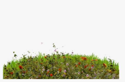 Wild Flowers Png - Grass Small Hill Png, Transparent Png, Transparent PNG