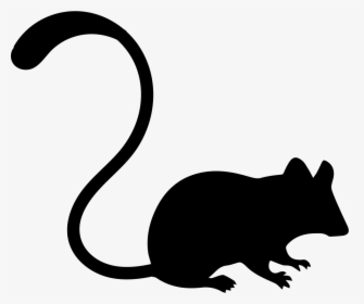 Mouse - Computer Mouse, HD Png Download, Transparent PNG