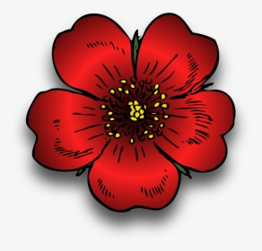 Plant, Red, Rosa, Rose, Wild, Blossom, Beautiful, Bloom - Wild Rose Clip Art, HD Png Download, Transparent PNG