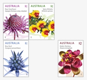 Wild Flowers Png - Australia Post $1 Stamp, Transparent Png, Transparent PNG