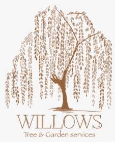 Transparent Willow Tree Png - Weeping Willow Tree Logo, Png Download, Transparent PNG