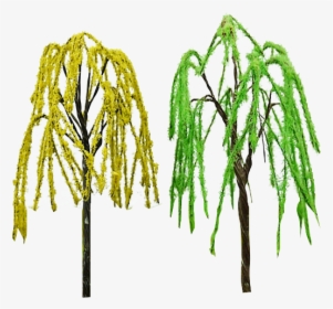 Green Weeping Willow Tree Architectural Mini Trees - Grass, HD Png Download, Transparent PNG