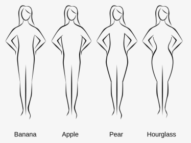 Transparent Human Body Clipart Black And White - Body Shapes, HD Png Download, Transparent PNG
