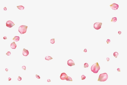 #petalos #sakura #flordecerezo Petals #sakuratree - Pink Rose Petals Fly, HD Png Download, Transparent PNG