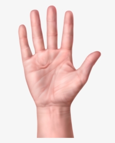 One Hand With Pitting Or Pits In Palm Of Hand - Dupuytren's Contracture, HD Png Download, Transparent PNG